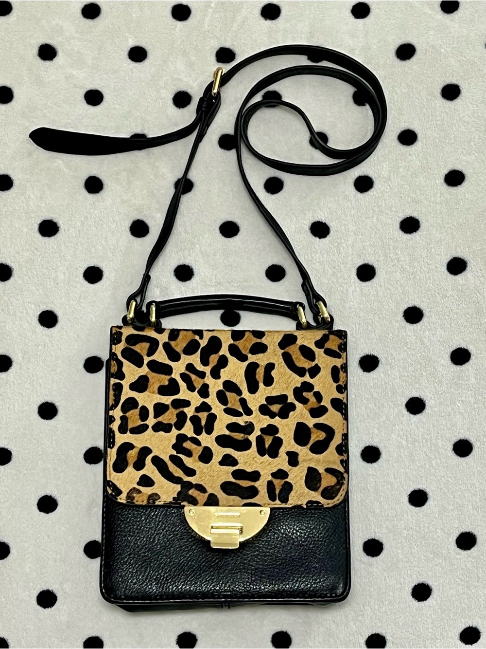 C. Wonder Leopard Print & Black Leather Crossbody Bag